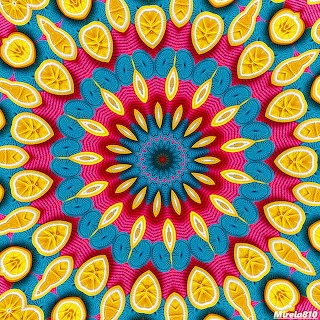 Citrus Fruit Mandala