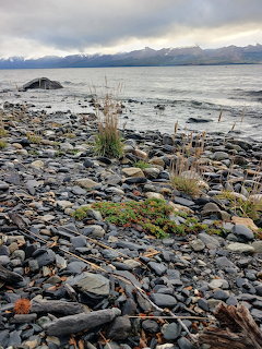 Lago Escondido Ushuaia Shore