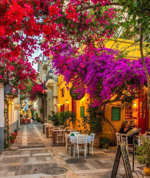 Greek Street Cafe Bougainvillea