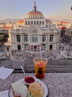 Bellas Artes View