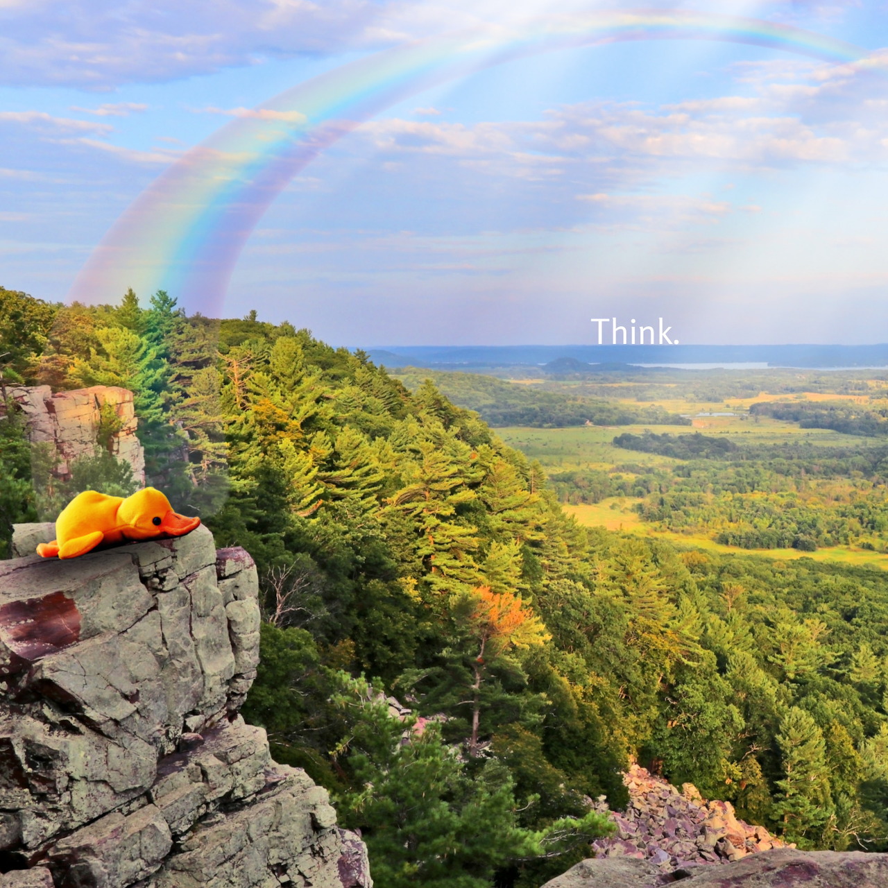 Rubber duck on cliff edge with rainbow over forest valley