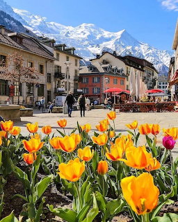 Orange and yellow tulips in front of a French village square with snow-capped Alps in the background
