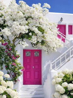 Greek Island White Flowers