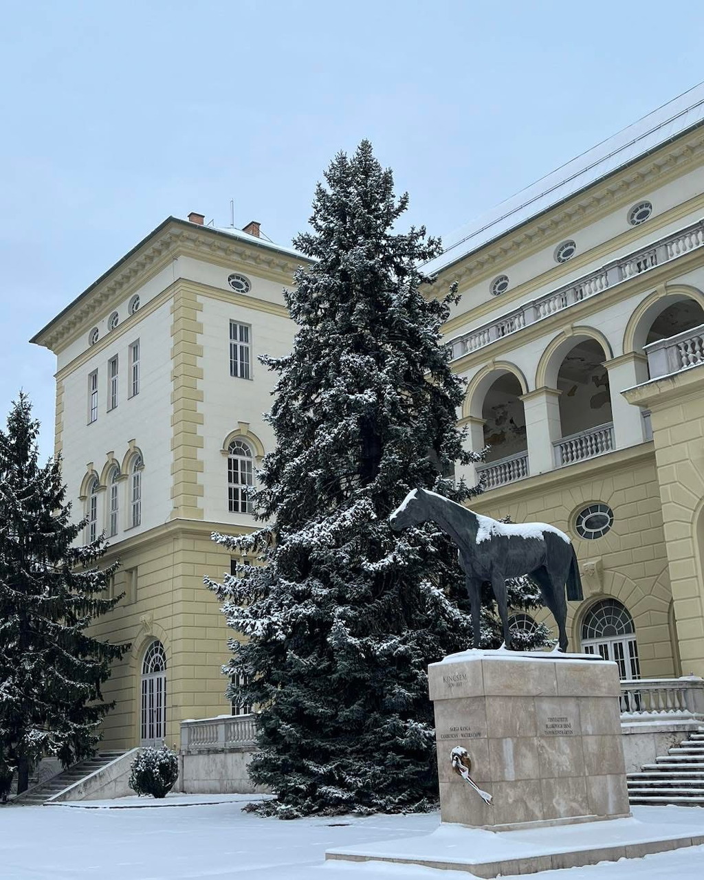 Kincsem Horse Statue Snow