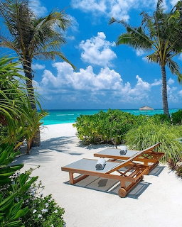 Two wooden sun loungers on white sand beach with palm trees and turquoise ocean