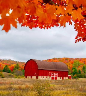 Red barn with white star decorations surrounded by colorful autumn trees and orange maple leaves