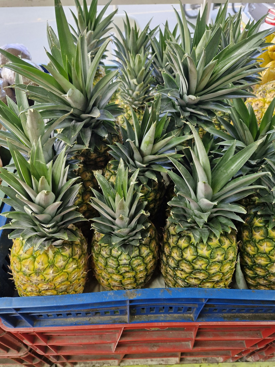 Pineapples on Market Display