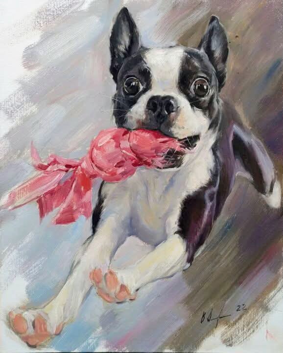 Painting of a black and white Boston terrier running with a pink pink scarf or toy in its mouth