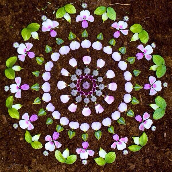 Mandala pattern of pink flowers, green leaves, and white petals on soil