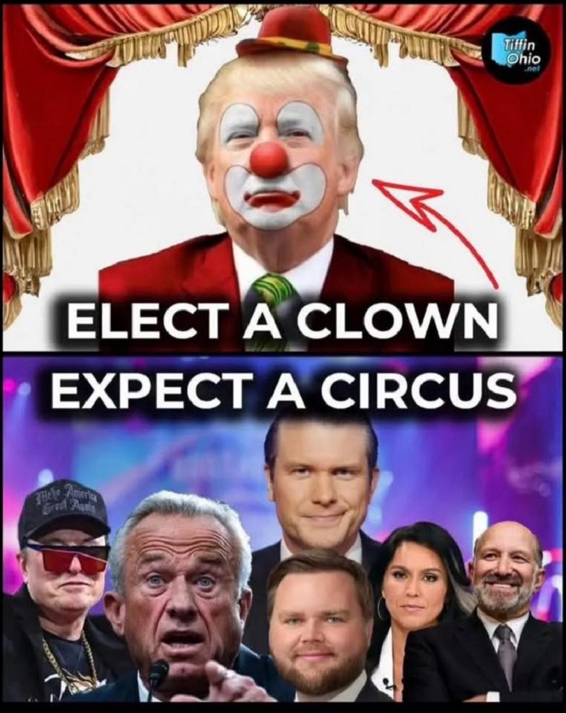Elect a Clown Expect a Circus