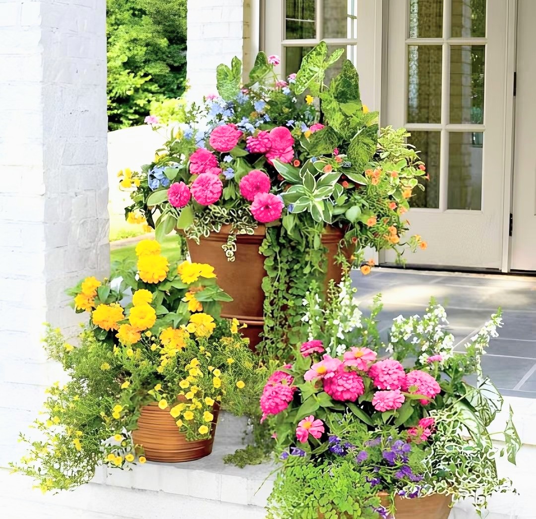 Potted pink, yellow, and white flowers arranged on a bright porch by a glass door