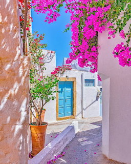 Whitewashed Greek alley with pink bougainvilea flowers, blue door, and potted tree in sunlight