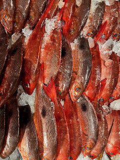 Multiple fresh red fish packed together on ice, displayed at a fish market