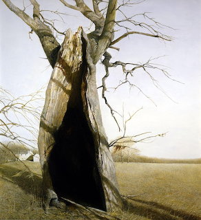 Hollow Tree in Misty Field