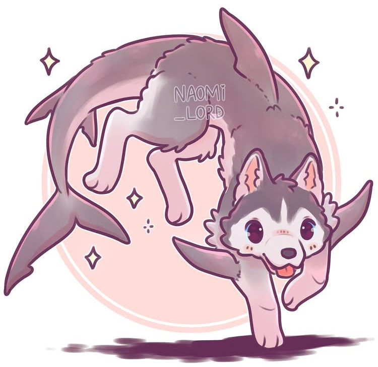 Shark Husky Hybrid