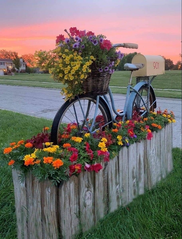 Vintage bicycle with flower basket on a wooden planter box filled with colorful flowers at sunset