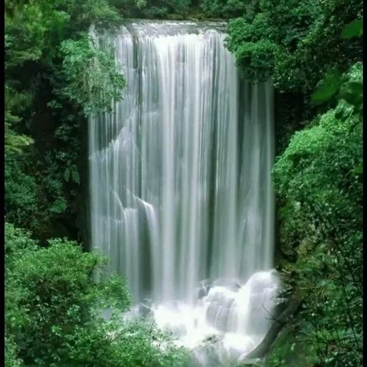 Tall waterfall flowing through dense green tropical forest with mist at the base