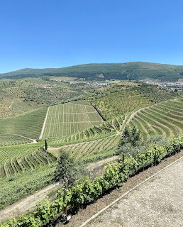 Terraced vineyard rows on green hillsides in Portuguese wine region with blue sky