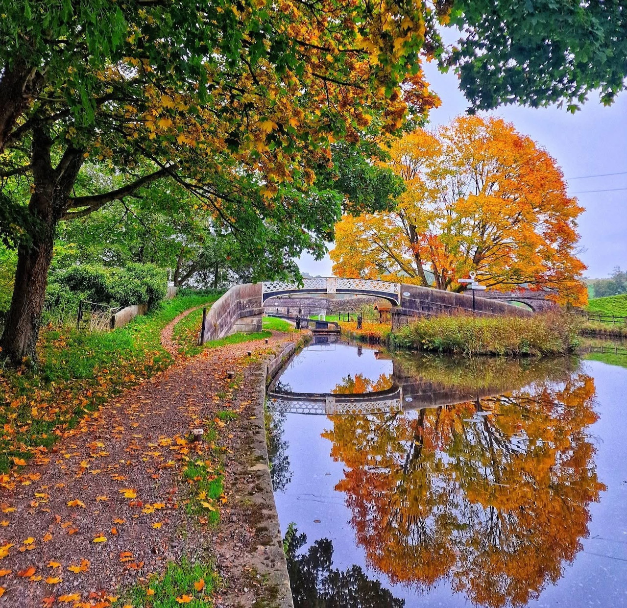 Autumn Canal Bridge