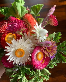 Colorful bouquet of fresh daisies in white, pink, orange and magenta with green leaves on wooden surface