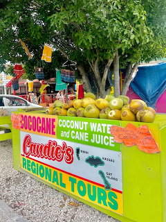 Colorful fruit stand with coconuts and papayas, signs for coconut water, cane juice, and regional tours