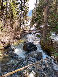 Mountain creek flowing through a pine forest with rocks and patches of snow