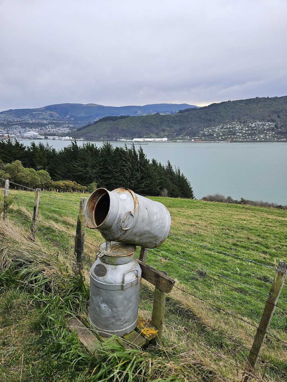 New Zealand Milk Can View
