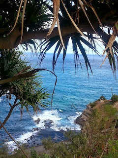 Ocean view from a tropical cliff framed by pandanus tree leaves with waves crashing on rocks below