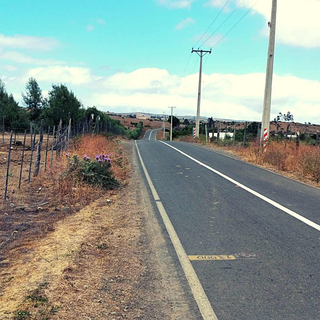 Paved rural road with dry grass, utility poles, and distant houses under a blue sky