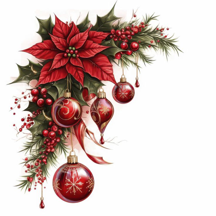 Christmas Poinsettia and Ornaments