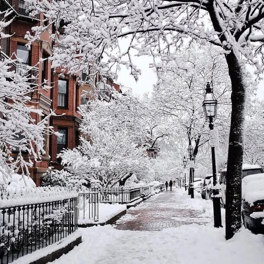 Snowy urban street with snow-laden trees and brownstone townhouses
