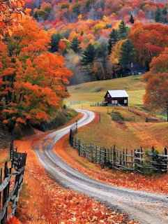 Winding Road Autumn Landscape