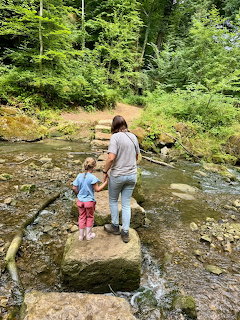 Adult and child stepping across stones in a forest stream surrounded by greenery