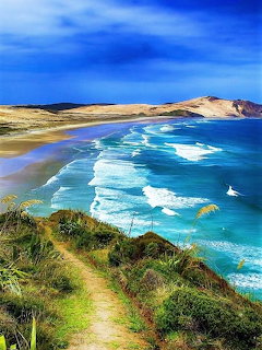 Coastal path leading down to a turquoise ocean with sandy beach and sand dunes under blue sky
