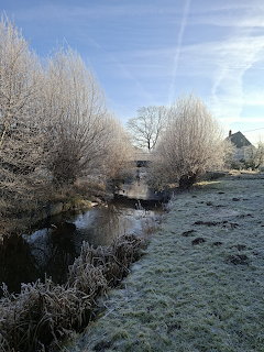 Frosty winter morning with bare trees along a small brook and frost-covered grass under blue sky
