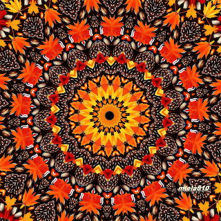 Orange Floral Mandala