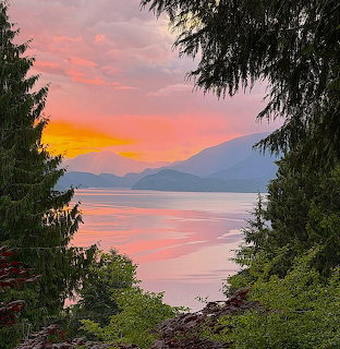 Sunset over mountain lake viewed through silhouetted evergreen trees with pink and orange sky reflected in water