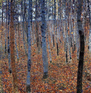 Birch trees standing in an autumn forest with orange and brown leaves on the ground
