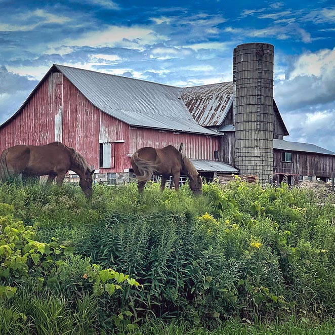 Red barn with silo and horses grazing in field under cloudy blue sky