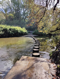 Stepping stones crossing a calm river at Box Hill, England, lined with autumn trees