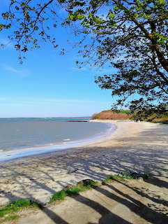 Sandy Beach Shoreline