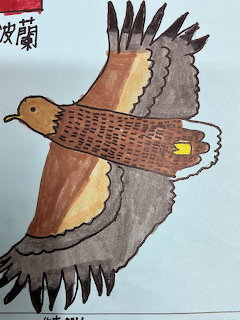 Hand-drawn illustration of a brown eagle flying with wings spread wide on white paper