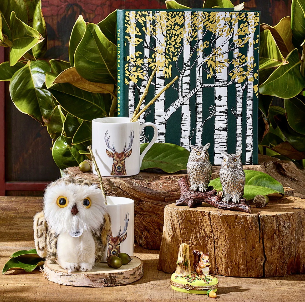 Rustic display with owl figurines, owl mugs, green leaves, and birch tree art on a wooden table