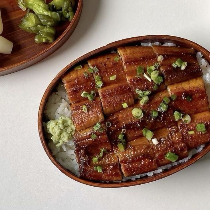 Grilled Eel on Rice Bowl