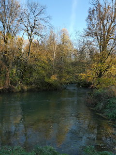 Calm river surrounded by autumn trees with golden and green leaves under a blue sky
