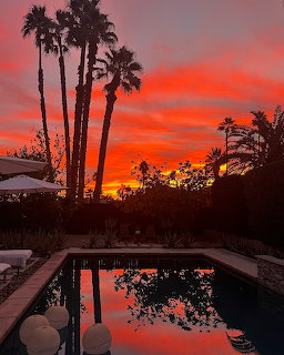 Palm trees beside a backyard pool at vivid red-orange sunset