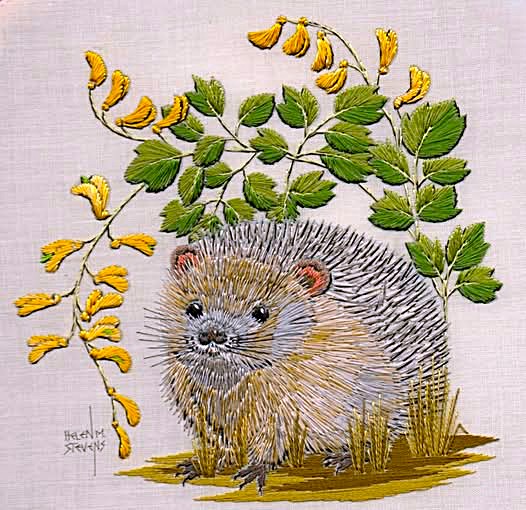 Illustration of a hedgehog under yellow flowers and green leaves