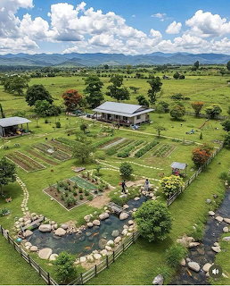 Aerial view of rural farm with gardens, houses, trees, and mountains under cloudy blue sky