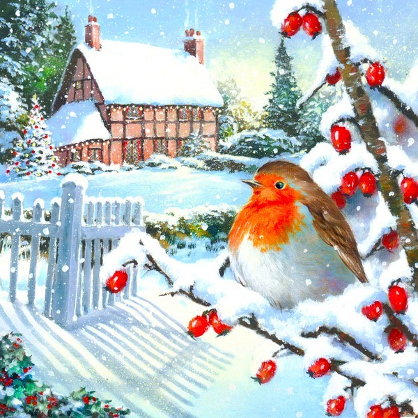Robin with orange breast on snowy branch with red berries, winter cottage scene