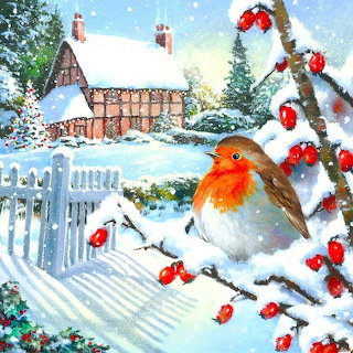 Robin in Winter